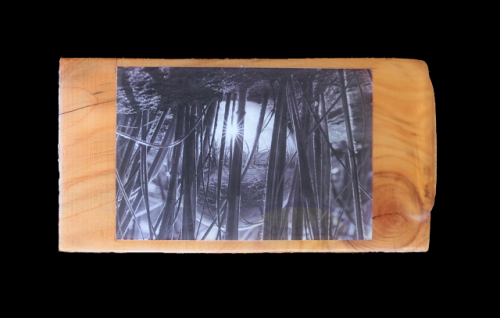 Lensball photo of sand dune grasses at Te Henga Beach, mounted on Macrocarpa wood