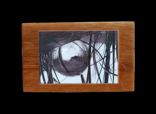 Black and white Photo of Lensball amongst dune grasses at Te Henga Beach mounted on Heart Rimu Wood