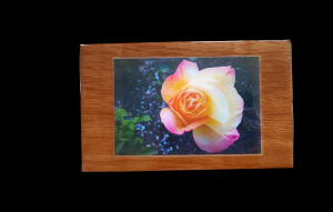 LInk to Wood Mounted Photos