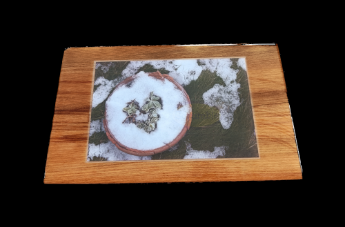 Photo Titles "Love Africa" Mounted on Heart Rimu Wood